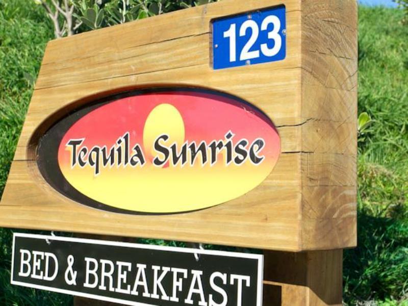 Napier B&B - Tequila Sunrise Eskdale Exterior photo